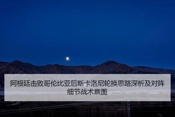a-gen-ting-ji-bai-ge-lun-bi-ya-hou-si-ka-luo-ni-lun-huan-si-lu-shen-xi-ji-dui-zhen-xi-jie-zhan-shu-yi-tu-2-363.jpg